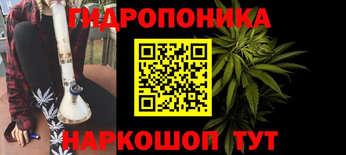 Конопля гибрид Избербаш